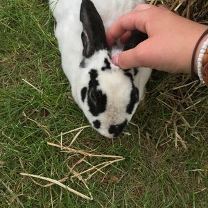 Meet your Posher, Kaleb